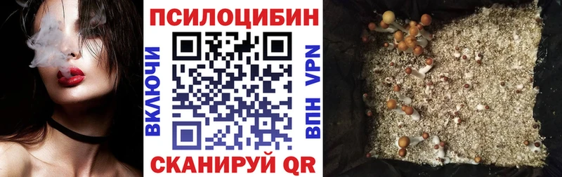 Галлюциногенные грибы GOLDEN TEACHER  Гаврилов Посад 